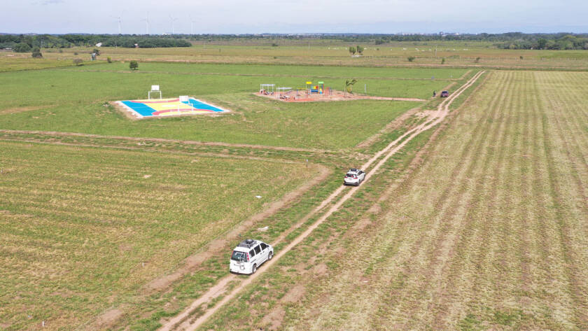 pinos4-8